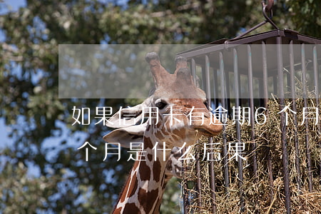 如果信用卡有逾期6个月(信用卡连续逾期六个月是什么后果)