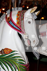 如果信用卡有逾期會上征信(是不是只有信用卡逾期才會上征信)