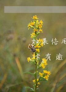 如果信用卡有逾期詳情怎么查詢-如果信用卡有逾期詳情怎么查詢呢