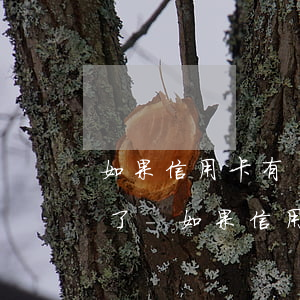 如果信用卡有過(guò)逾期但是最終還了-如果信用卡有過(guò)逾期但是最終還了怎么辦
