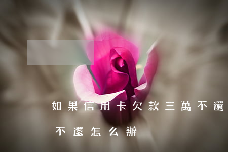 如果信用卡欠款三萬不還(欠信用卡3千塊錢不還怎么辦)