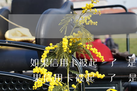 如果信用卡被起訴了,還是還不上怎么辦-如果信用卡被起訴了,還是還不上怎么辦呢