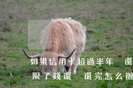 如果信用卡超過半年沒還怎么辦(信用卡到年限了錢還沒還完怎么辦)
