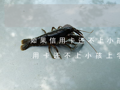 如果信用卡还不上小孩上学影响吗-如果信用卡还不上小孩上学影响吗怎么办