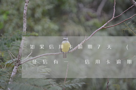 如果信用卡逾期7天會(huì)怎么樣-征信有一條信用卡逾期七天以內(nèi)有影響么