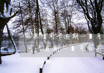 如果信用卡逾期一個月后果怎么樣-如果信用卡逾期一個月后果怎么樣呢
