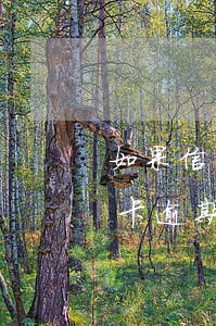 如果信用卡逾期一天利息怎么算-如果信用卡逾期一天利息怎么算的