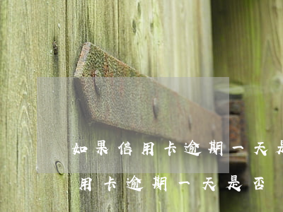 如果信用卡逾期一天是否會上征信-如果信用卡逾期一天是否會上征信記錄