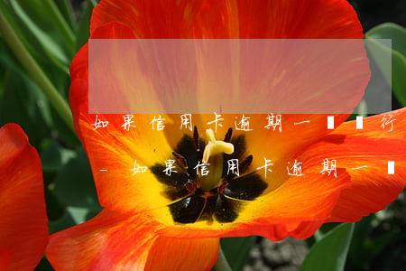 如果信用卡逾期一條銀行會(huì)提醒-如果信用卡逾期一條銀行會(huì)提醒嗎