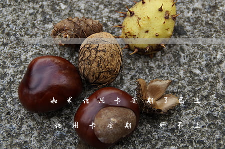 如果信用卡逾期了已上報會怎么樣-是不是信用卡逾期銀行不上報就不影響征信