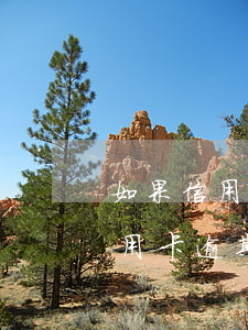 如果信用卡逾期了要改電話號碼嗎-如果信用卡逾期了要改電話號碼嗎怎么辦