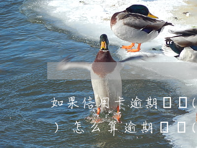 如果信用卡逾期兩個(gè)月會(huì)怎么算 逾期兩個(gè)月算逾期幾次