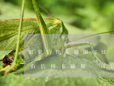 如果信用卡逾期可以買(mǎi)房嗎(以前有信用卡逾期還可以貸款買(mǎi)房嗎)