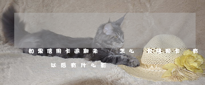 如果信用卡逾期未還會怎么樣(欠信用卡沒有還對以后有什么影響)