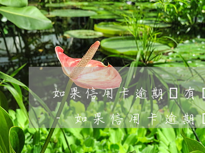 如果信用卡逾期沒有還會(huì)坐牢嗎-如果信用卡逾期沒有還會(huì)坐牢嗎會(huì)怎么樣
