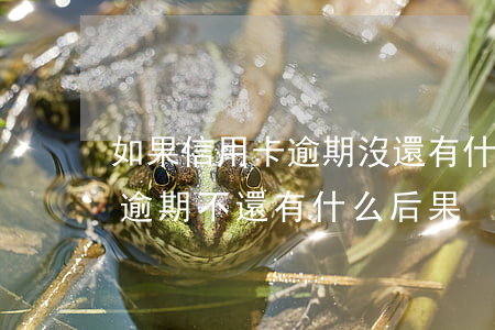 如果信用卡逾期沒還有什么后果(信用卡欠款逾期不還有什么后果)