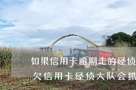 如果信用卡逾期走的经侦这步后果会怎样-欠信用卡经侦大队会抓人不