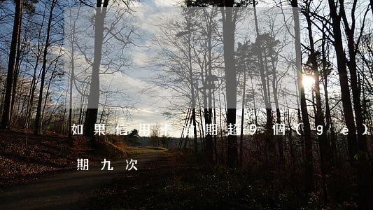 如果信用卡逾期超9個(gè)月(信用卡逾期九次)