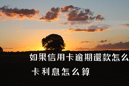 如果信用卡逾期還款怎么算利息 逾期的信用卡利息怎么算