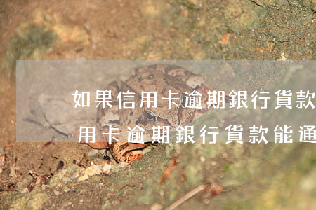 如果信用卡逾期銀行貨款能通過嗎-如果信用卡逾期銀行貨款能通過嗎怎么辦