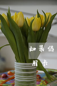 如果信用卡還不上錢會有什么后果-如果信用卡還不上錢會有什么后果嗎
