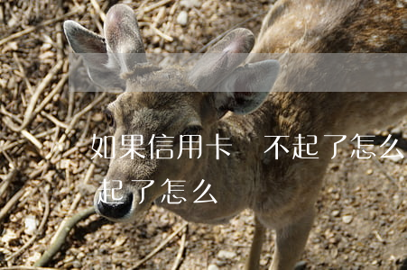 如果信用卡還不起了怎么辦 后果(信用卡還不起了怎么辦?)
