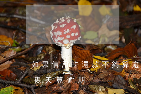 如果信用卡還款不夠算逾期嗎(還信用卡超過幾天算逾期)
