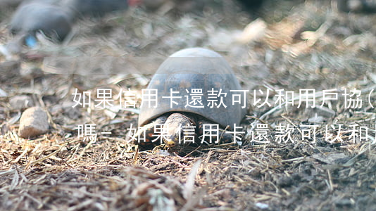 如果信用卡還款可以和用戶協(xié)商嗎-如果信用卡還款可以和用戶協(xié)商嗎怎么辦