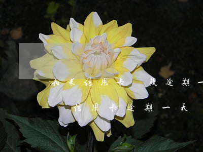 如果信用卡還款逾期一天會(huì)怎樣(還信用卡逾期一天沒(méi)事吧)