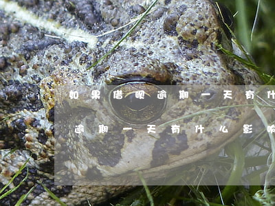 如果借呗逾期一天有什么影响吗-如果借呗逾期一天有什么影响吗怎么办