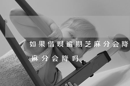 如果借呗逾期芝麻分会降吗(如果借呗逾期芝麻分会降吗)
