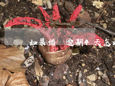 如果借唄逾期4天怎么辦