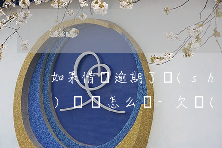 如果借唄逾期了實(shí)在沒(méi)錢還怎么辦-欠網(wǎng)貸無(wú)力償還2023年新規(guī)出來(lái)了