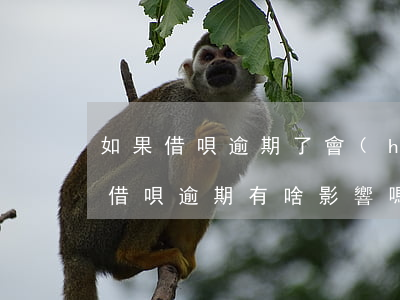 如果借唄逾期了會(huì)影響信用卡嗎 借唄逾期有啥影響嗎