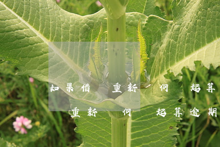 如果借條重新寫何時起算逾期利息-如果借條重新寫何時起算逾期利息呢