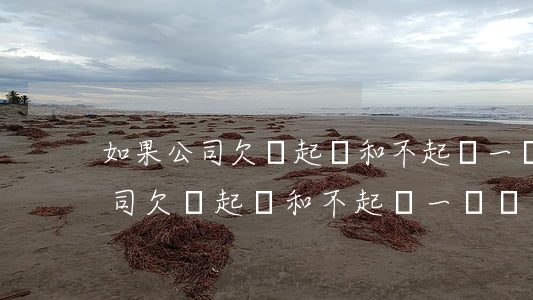 如果公司欠錢起訴和不起訴一樣嗎-如果公司欠錢起訴和不起訴一樣嗎怎么辦