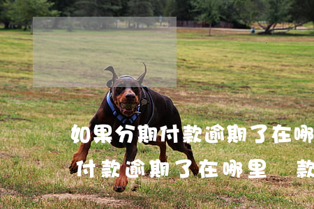 如果分期付款逾期了在哪里還款-如果分期付款逾期了在哪里還款呢