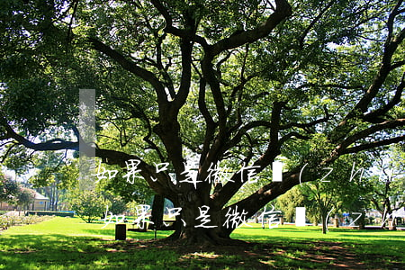 如果只是微信轉(zhuǎn)賬怎么起訴（如果只是微信轉(zhuǎn)賬怎么起訴）