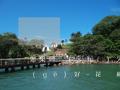 如果同時(shí)欠花唄和借唄先還哪個(gè)好-花唄和借唄都欠款,還款時(shí),會哪個(gè)先扣