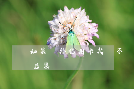 如果國外信用卡欠債不還(國外信用卡不還的后果)