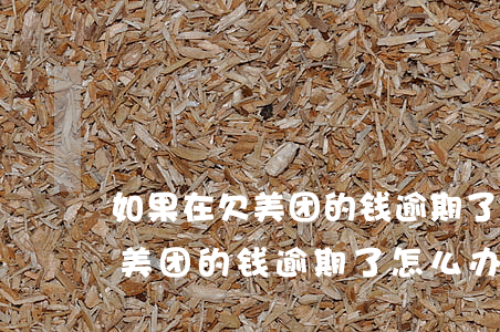 如果在欠美团的钱逾期了怎么办-如果在欠美团的钱逾期了怎么办啊