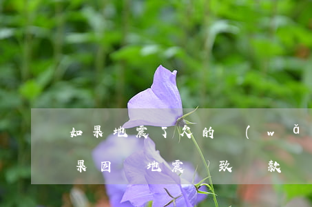 如果地震了欠的網(wǎng)貸怎么辦(如果因為地震導致貸款還不上怎么辦)