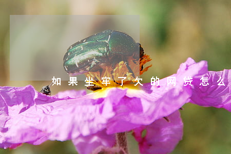 如果坐牢了欠的网贷怎么办(欠网贷能坐牢吗)