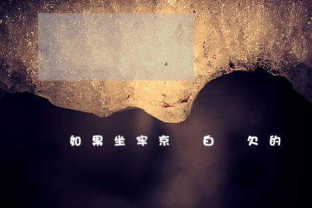 如果坐牢京東白條欠的債怎么辦-
