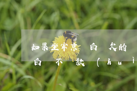 如果坐牢京東白條欠的債怎么辦(坐牢了京東白條不還款會(huì)咋樣)