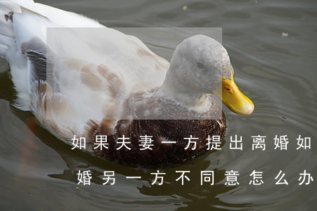 如果夫妻一方提出离婚(如果夫妻一方提出离婚另一方不同意怎么办)