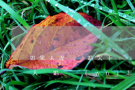 如果夫妻倆離婚欠下債務(wù)怎么離(兩人離婚債務(wù)怎么辦)