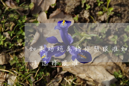 如果妈妈离婚你想跟谁(如果爸妈离婚了 我应该选择跟谁)