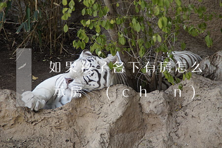 如果孩子名下有房怎么繼承(名下有房怎么繼承房產(chǎn))
