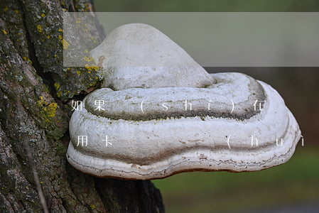 如果實(shí)在沒錢還信用卡怎么辦(信用卡沒錢還會(huì)怎樣)